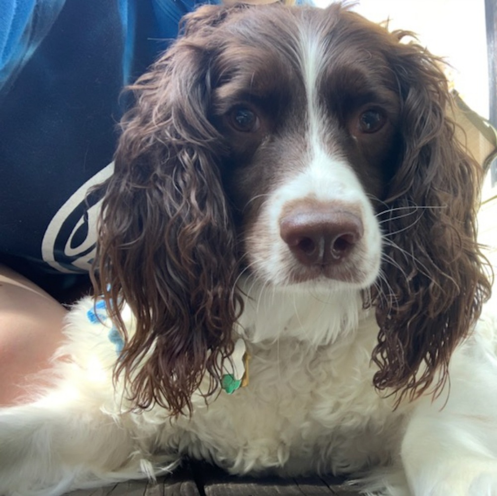 Meet your Posher, Trina